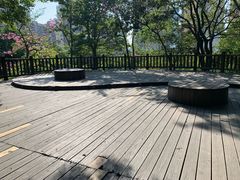 -晋江五店市传统文化旅游区