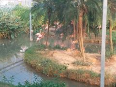 -无锡动物园·太湖欢乐园