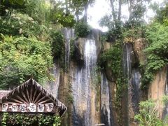 -西双版纳原始森林公园