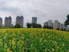 -长白岛森林公园