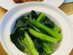 -招商蛇口邮轮母港(观光客运)