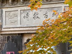-鲁镇