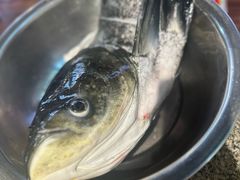 -好灶头妈妈菜·千岛湖土菜地标美食