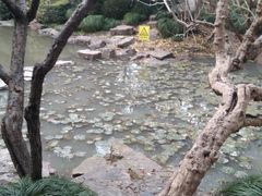 -汇龙潭