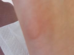 -状元楼