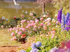 -人民公园(罗湖区)