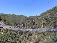 -九龙江国家森林公园