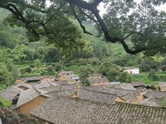 -杨家堂村