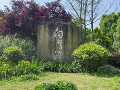 -白鹭湾湿地公园