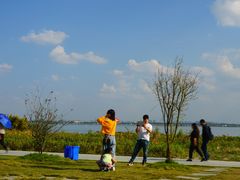 -七的湖·晚芳亭·阳澄湖农家菜·大闸蟹(莲花岛店)