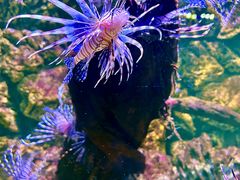 -海合安天津极地海洋公园