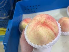 -老袁家蜜桃农场·阳山水蜜桃