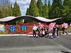 -东平国家森林公园
