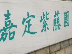 -嘉定紫藤园