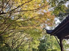 -北山街历史文化街区