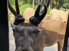 -北京野生动物园