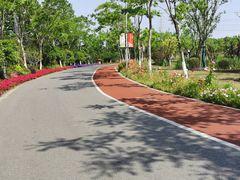 -上海长兴岛郊野公园