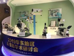 -比华利美容医院