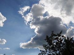 商户图片-百里山水画廊