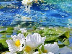 -丽江泸沽湖景区