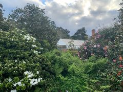 -墨尔本皇家植物园