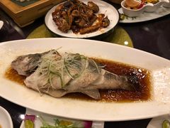 清蒸鲈鱼-乾园风尚五大道