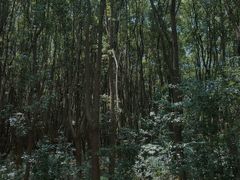 -同里国家湿地公园