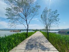 -野鸭湖国家湿地公园