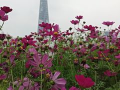 -海心沙亚运公园