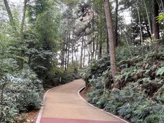 -綦江古剑山