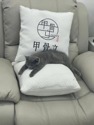 -甲骨文美甲美睫美容化妆
