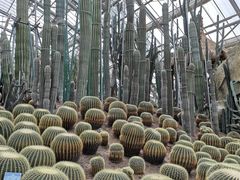 -南山植物园