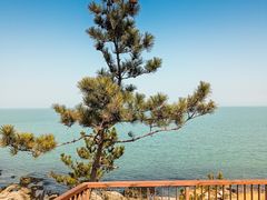 -威海国际海水浴场旅游区
