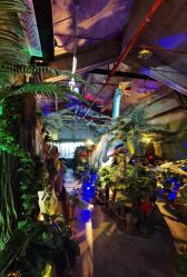 -恐龙探索乐园(磁器口店)