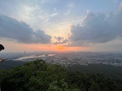 -紫金山山顶公园