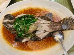 -黄埔华苑酒家(黄埔店)