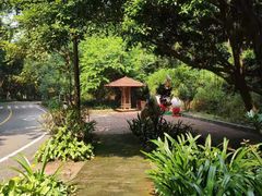 -大雁山风景区