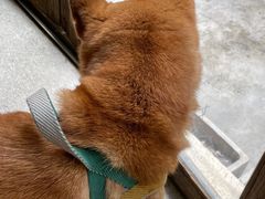 -三目仓咖啡(贤南路店)