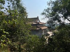 -南宁良凤江国家森林公园