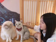 -猫にゃん · 猫的隐藏屋猫咖(麦地旗舰店)