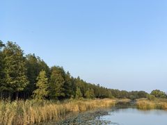 -苏州太湖湖滨国家湿地公园