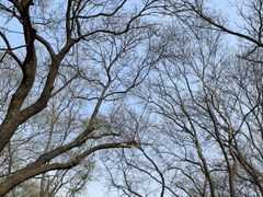 -山东大学(趵突泉校区)