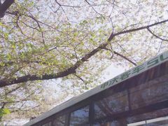 -上海南浦大桥长途旅游客运站