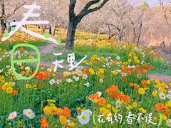 -名花谷生态庄园