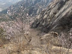 -北京凤凰岭