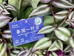 -国家植物园南园