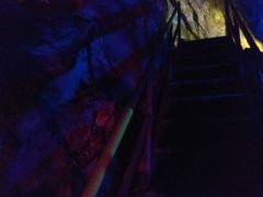 -伏牛地下河景区