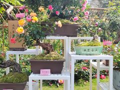 -人民公园(罗湖区)