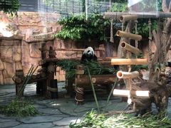 -泉州海丝野生动物世界