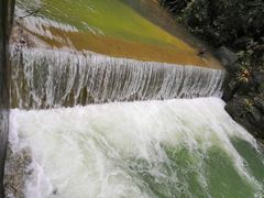 -九龙江国家森林公园